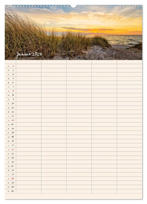 Am Meeressaum der Ostsee (CALVENDO Wandkalender 2024)