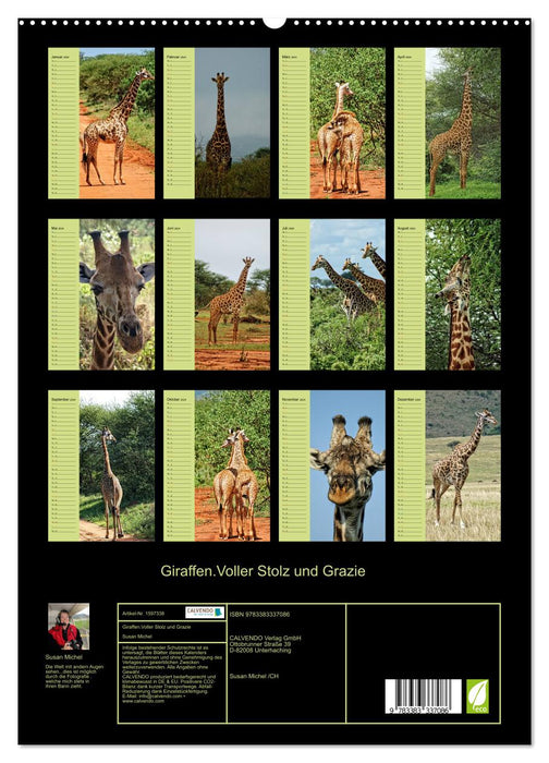 Giraffen. Voller Stolz und Grazie (CALVENDO Premium Wandkalender 2024)