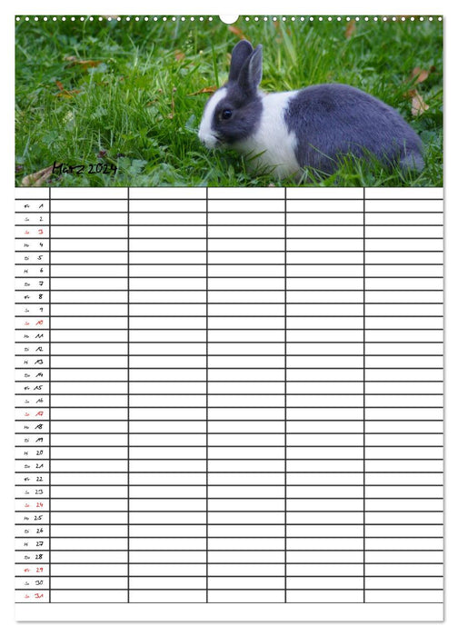 Agenda familial cochons d'Inde et lapins (calendrier mural CALVENDO 2024) 