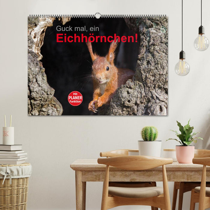 Guck mal, ein Eichhörnchen! (CALVENDO Wandkalender 2024)