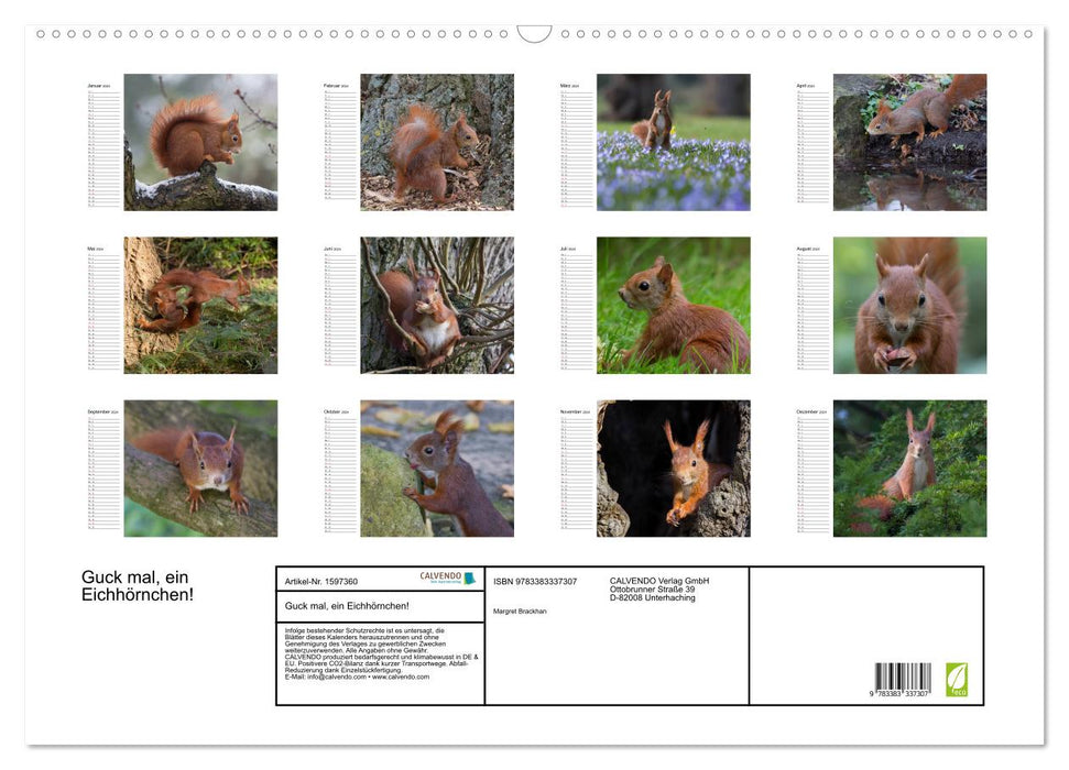 Look, a squirrel! (CALVENDO wall calendar 2024) 