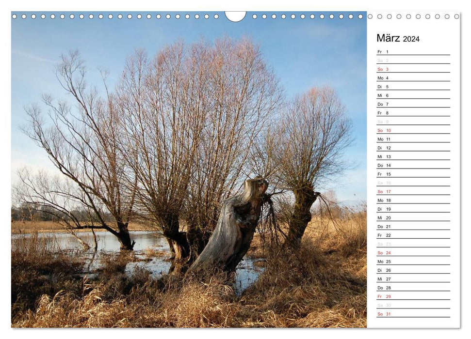 Four seasons in Havelland (CALVENDO wall calendar 2024) 