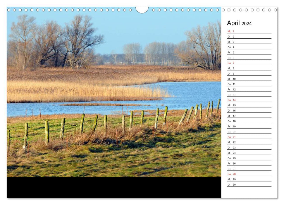 Four seasons in Havelland (CALVENDO wall calendar 2024) 