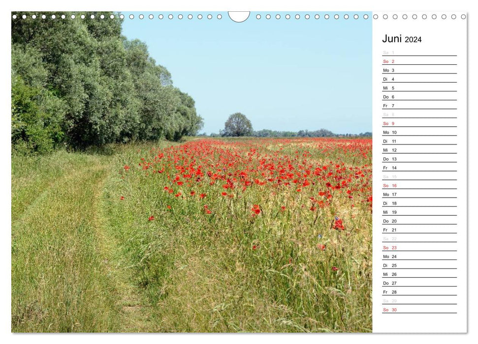 Four seasons in Havelland (CALVENDO wall calendar 2024) 