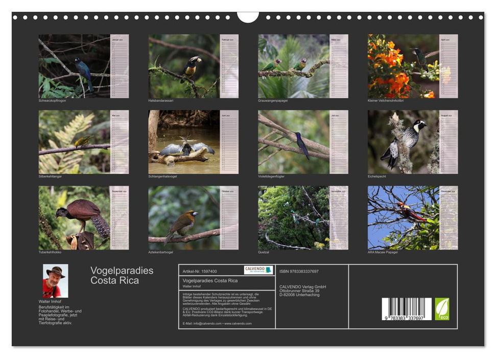 Vogelparadies Costa Rica (CALVENDO Wandkalender 2024)