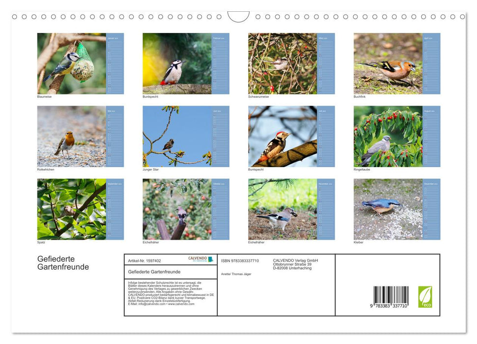 Feathered garden friends (CALVENDO wall calendar 2024) 