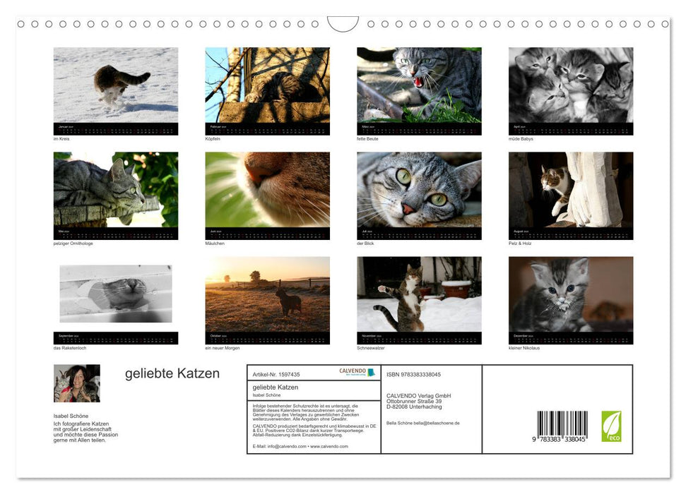 Beloved cats - on velvet paws throughout the year (CALVENDO wall calendar 2024) 