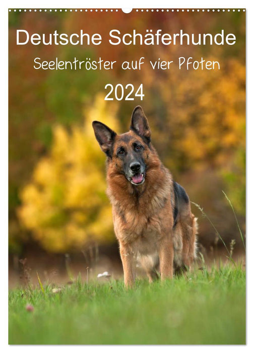 Deutsche Schäferhunde - Seelentröster auf vier Pfoten (CALVENDO Wandkalender 2024)