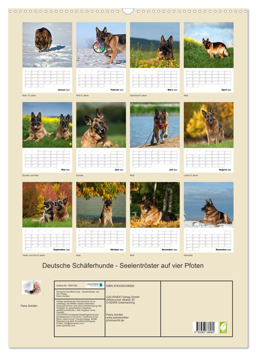 Deutsche Schäferhunde - Seelentröster auf vier Pfoten (CALVENDO Wandkalender 2024)