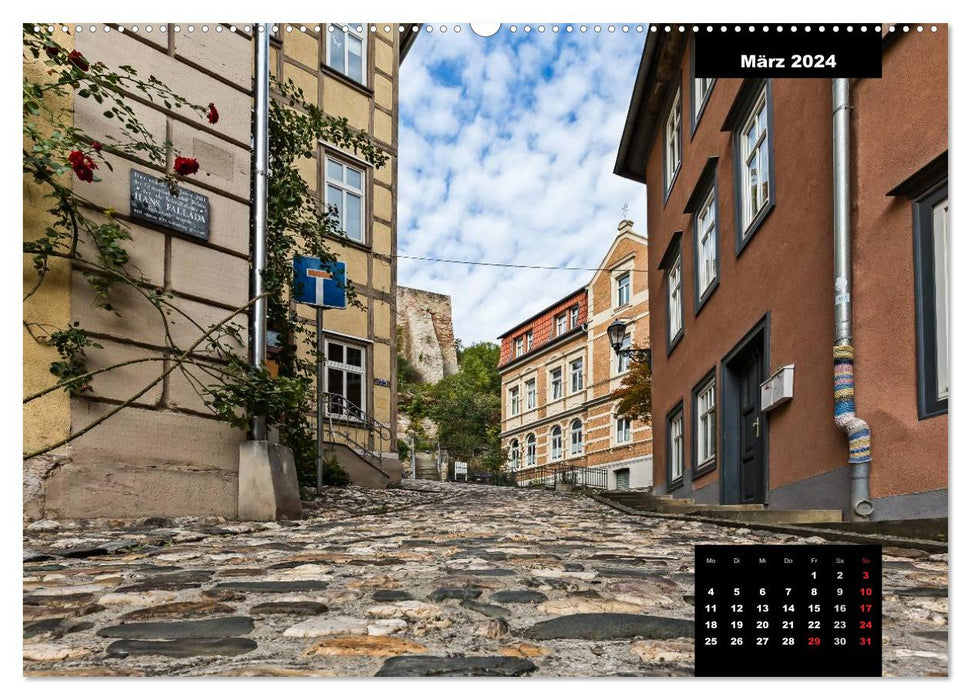 Rudolstadt - Schwarza (CALVENDO Premium Wall Calendar 2024) 