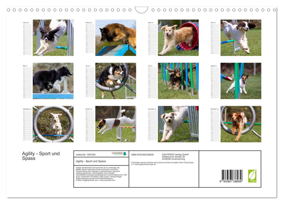 Agility - sport and fun (CALVENDO wall calendar 2024) 