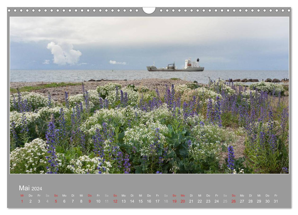 ÖLAND - Visit to a slightly different Sweden 2024 (CALVENDO wall calendar 2024) 