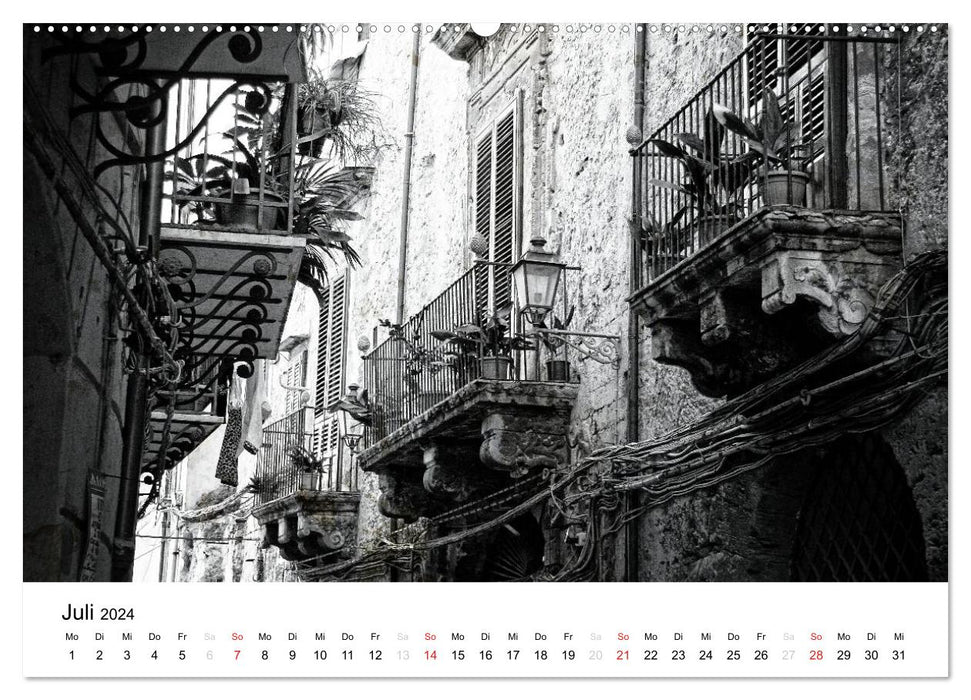 Silberstein porträtiert Palermo (CALVENDO Premium Wandkalender 2024)