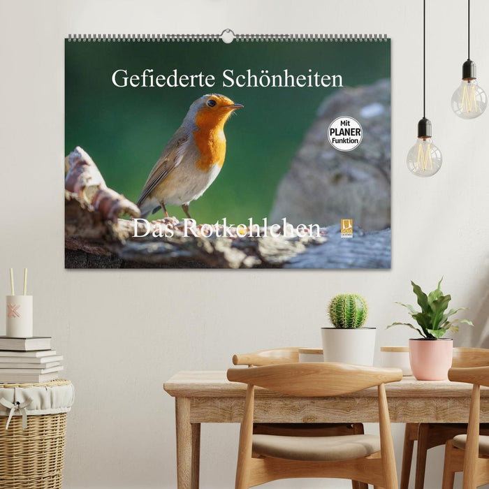 Gefiederte Schönheiten - Das Rotkehlchen / Planer (CALVENDO Wandkalender 2024)