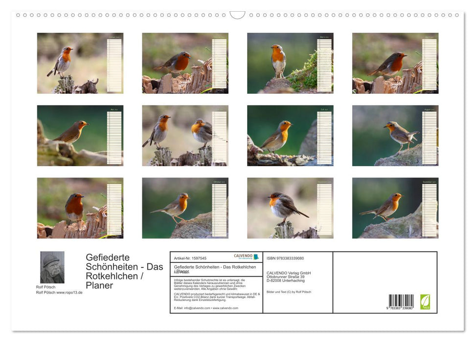 Feathered Beauties - The Robin / Planner (CALVENDO Wall Calendar 2024) 