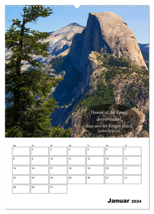 USA - Red Land and Tree Whispers (CALVENDO Premium Wall Calendar 2024) 