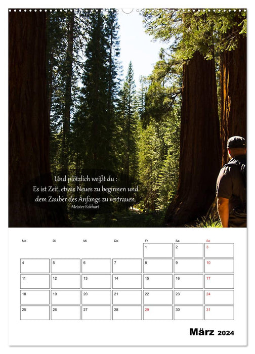 USA - Red Land and Tree Whispers (CALVENDO Premium Wall Calendar 2024) 