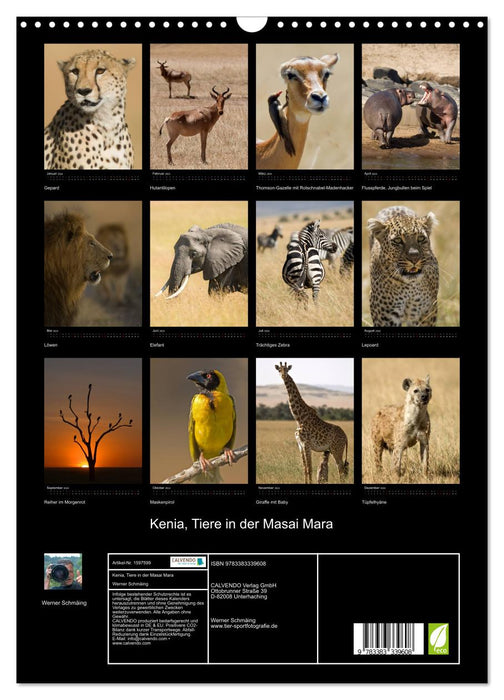 Kenya, animals in the Masai Mara (CALVENDO wall calendar 2024) 