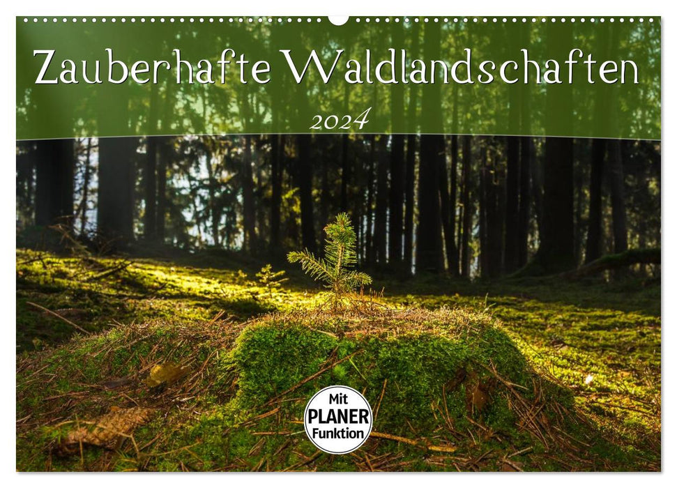 Zauberhafte Waldlandschaften (CALVENDO Wandkalender 2024)