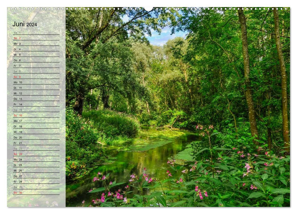 Zauberhafte Waldlandschaften (CALVENDO Wandkalender 2024)