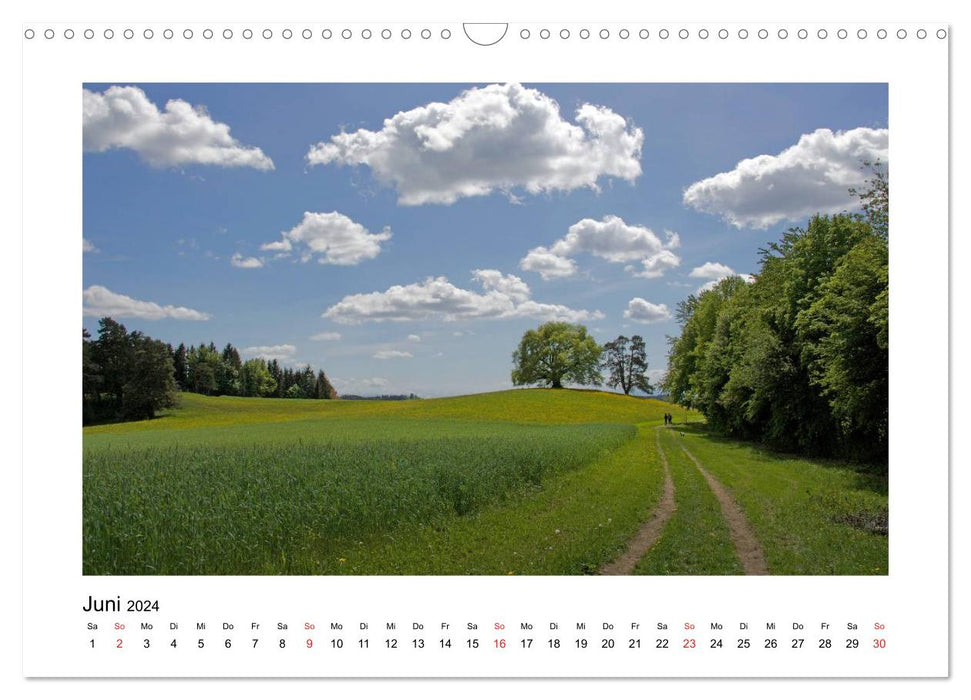 Weingarten and surroundings 2024 (CALVENDO wall calendar 2024) 