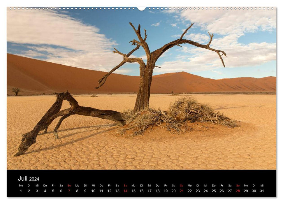 Lichterfülltes Namibia (CALVENDO Premium Wandkalender 2024)