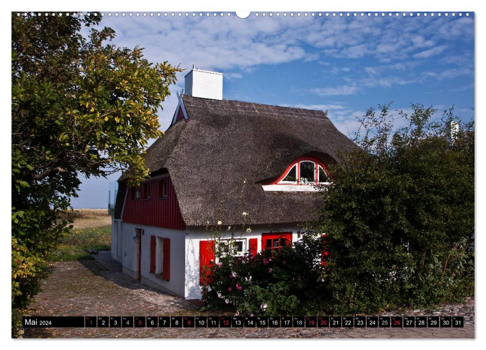 Artists' paradise Ahrenshoop (CALVENDO wall calendar 2024) 