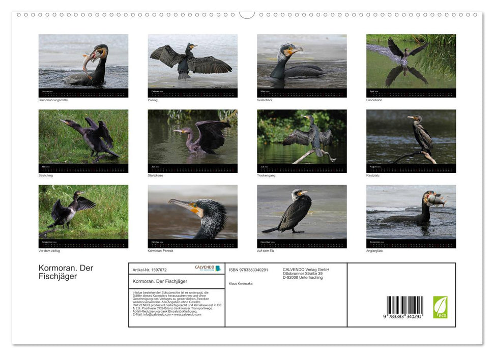 Cormorant. The Fish Hunter (CALVENDO Premium Wall Calendar 2024) 