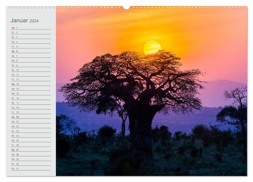 East Africa (CALVENDO wall calendar 2024) 