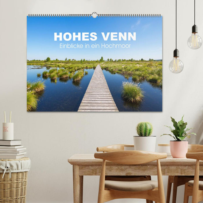 HOHES VENN - Einblicke in ein Hochmoor (CALVENDO Wandkalender 2024)