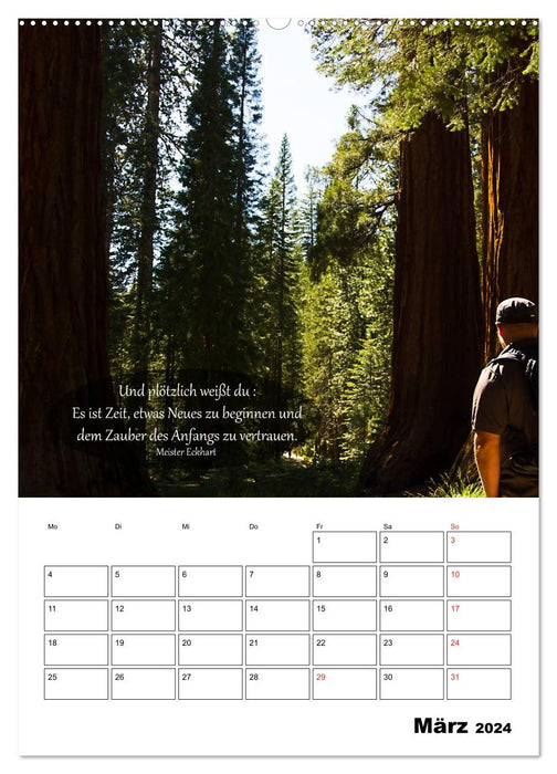 USA - Red Land and Tree Whispers (CALVENDO Wall Calendar 2024) 