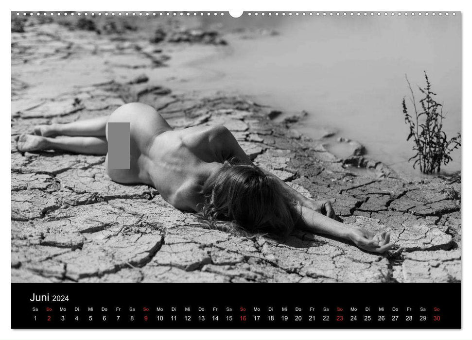 Female images (CALVENDO wall calendar 2024) 