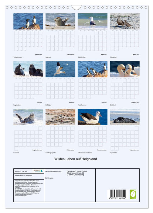 Wildes Leben auf Helgoland (CALVENDO Wandkalender 2024)