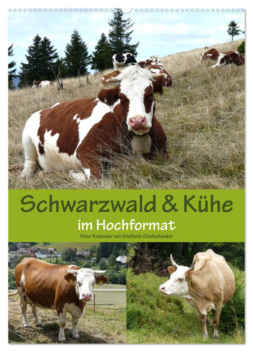 Black Forest and cows in portrait format (CALVENDO wall calendar 2024) 