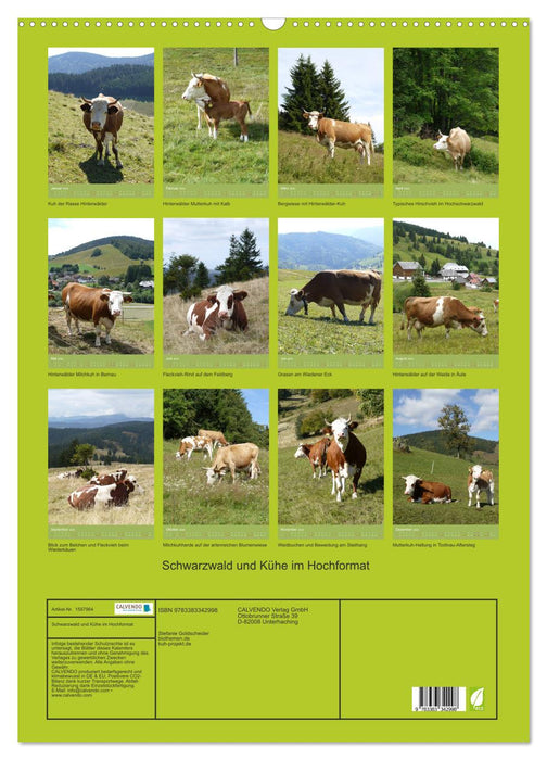 Forêt Noire et vaches au format portrait (calendrier mural CALVENDO 2024) 