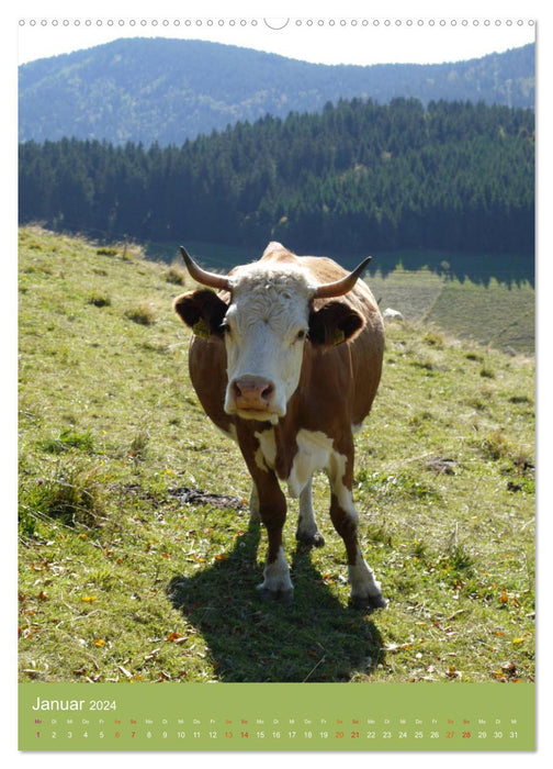 Forêt Noire et vaches au format portrait (calendrier mural CALVENDO 2024) 