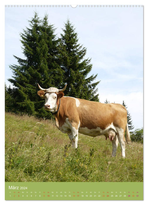 Forêt Noire et vaches au format portrait (calendrier mural CALVENDO 2024) 