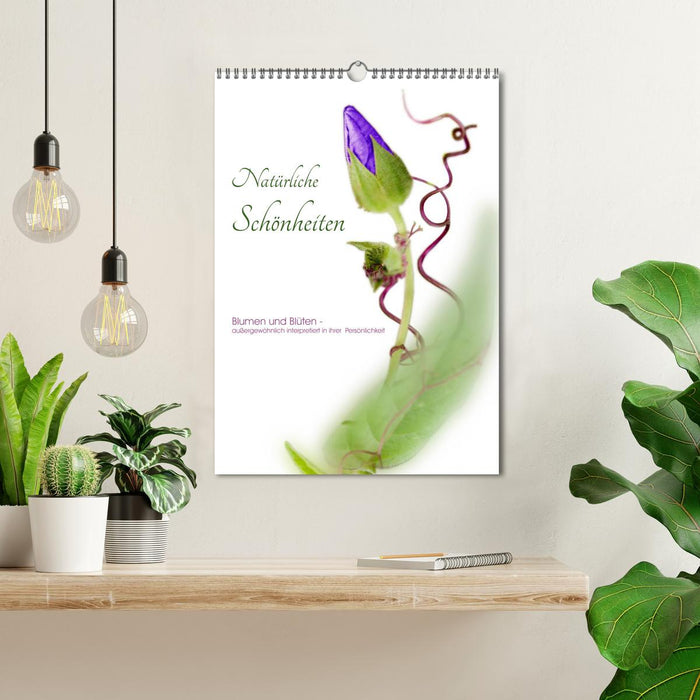 Natürliche Schönheiten - Blumen und Blüten - außergewöhnlich interpretiert in ihrer Persönlichkeit (CALVENDO Wandkalender 2024)