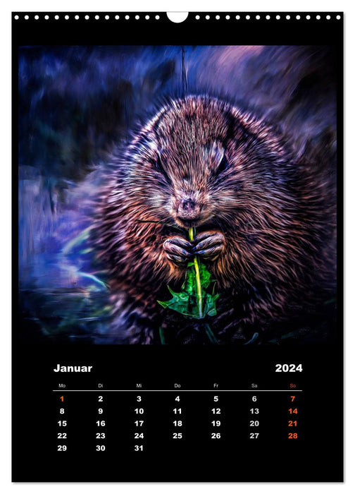 Colorful wildlife (CALVENDO wall calendar 2024) 