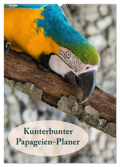 Kunterbunter Papageien-Planer (CALVENDO Wandkalender 2024)