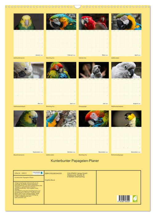 Colorful parrot planner (CALVENDO wall calendar 2024) 