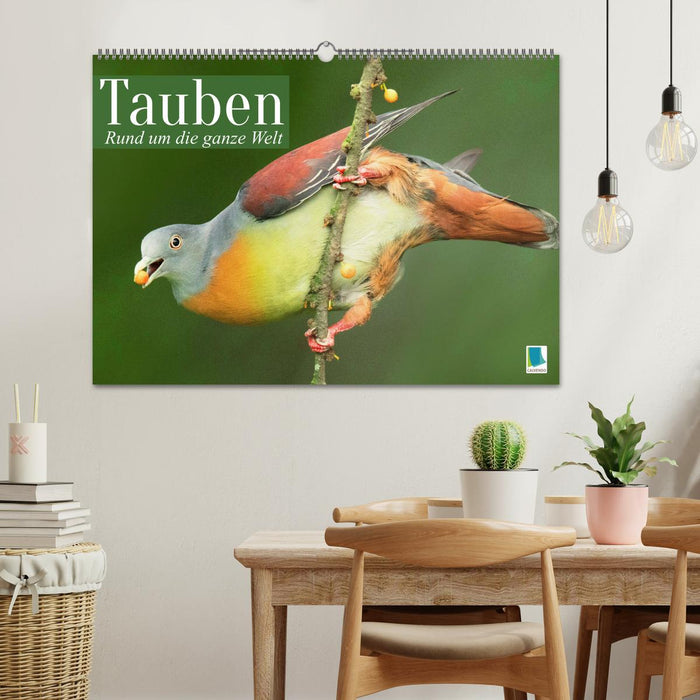 Pigeons around the world (CALVENDO wall calendar 2024) 