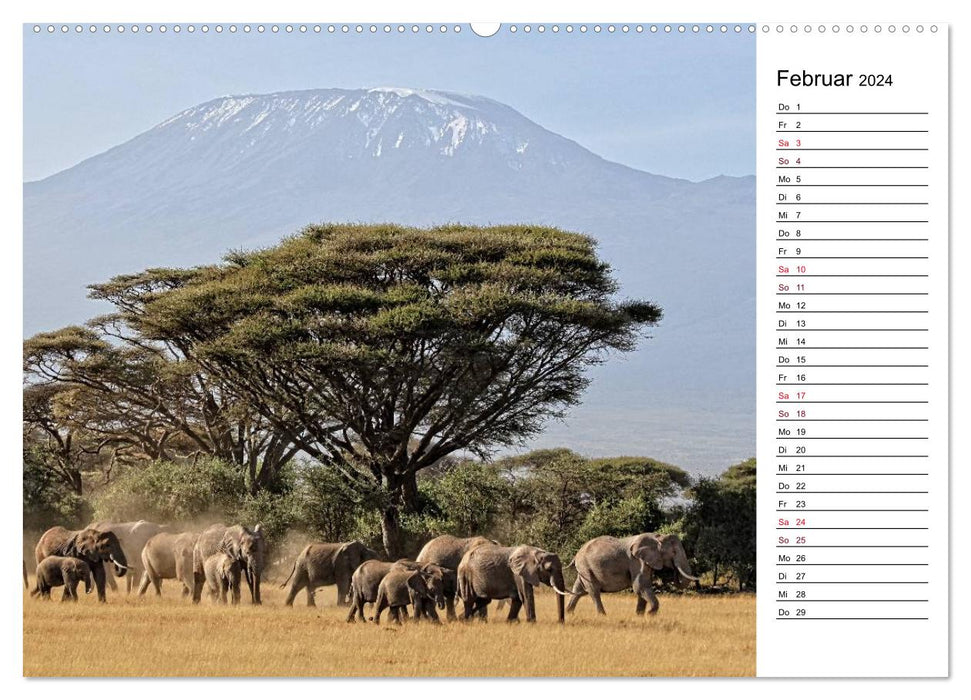 Éléphants. Faune au Kenya (Calvendo Premium Wall Calendar 2024) 