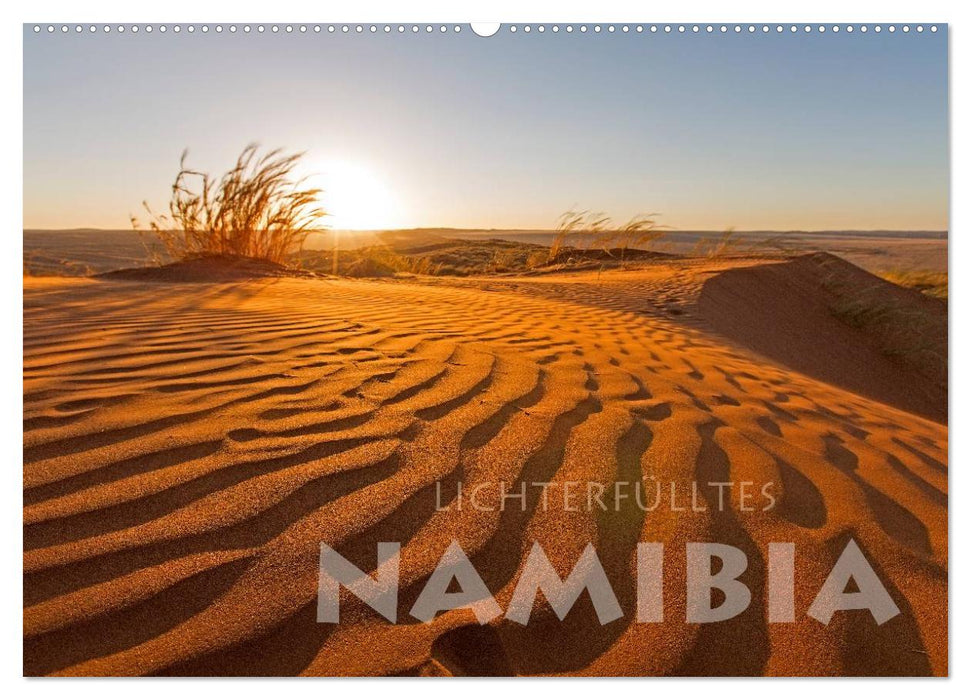 Namibie lumineuse (calendrier mural CALVENDO 2024) 