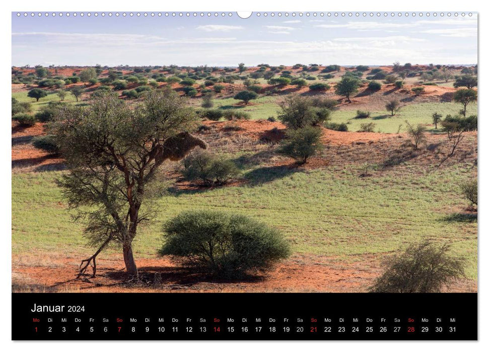 Light-filled Namibia (CALVENDO wall calendar 2024) 