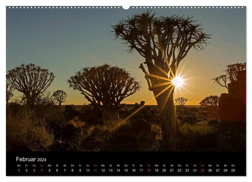 Lichterfülltes Namibia (CALVENDO Wandkalender 2024)
