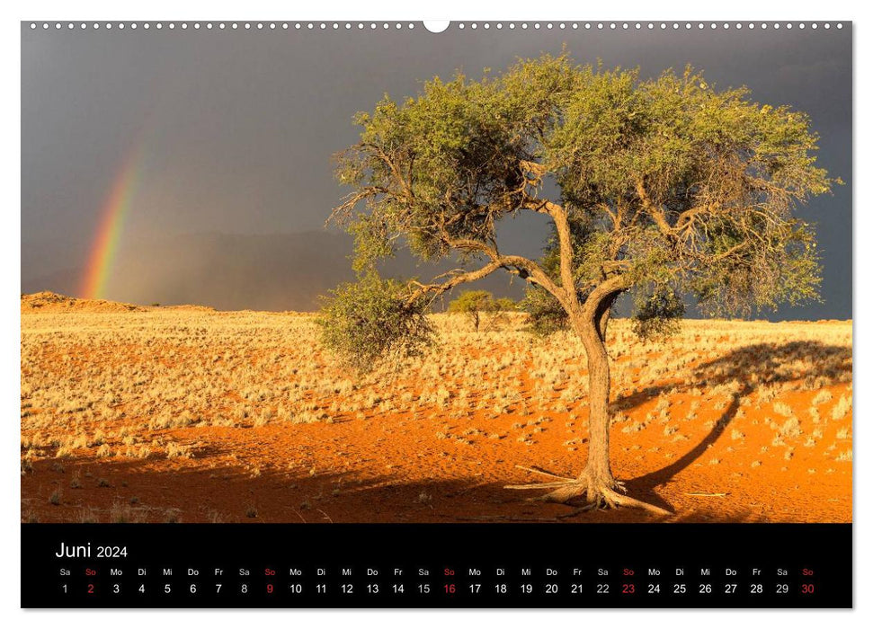 Namibie lumineuse (calendrier mural CALVENDO 2024) 