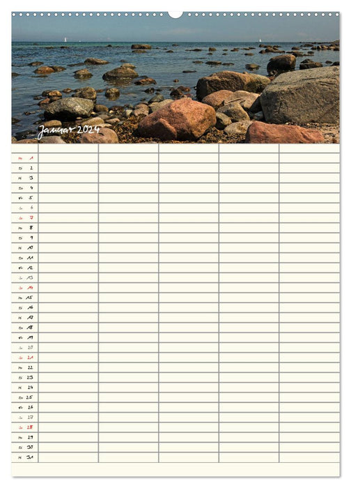 Rügen - holiday paradise on the Baltic Sea - family planner (CALVENDO wall calendar 2024) 