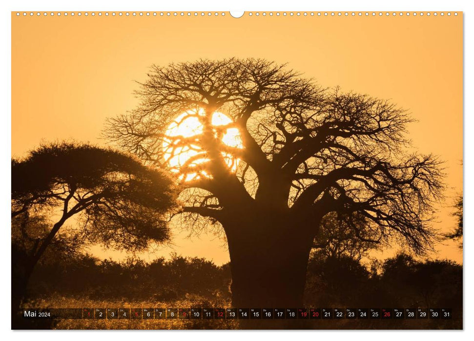 East Africa (CALVENDO Premium Wall Calendar 2024) 