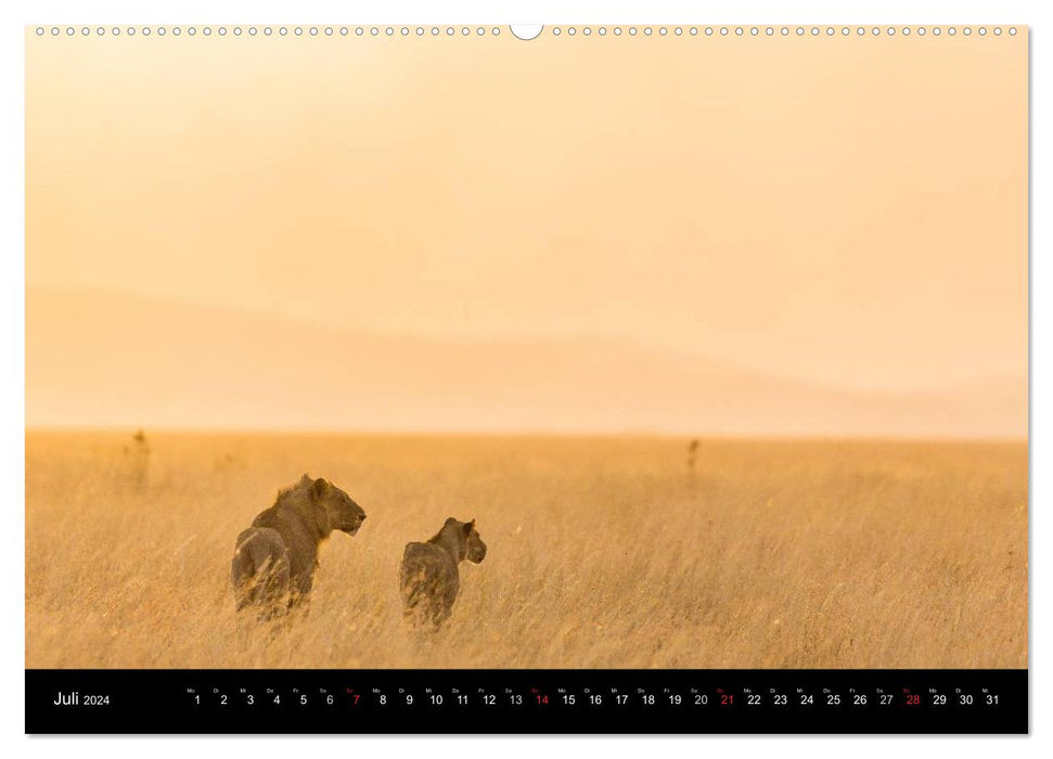 East Africa (CALVENDO Premium Wall Calendar 2024) 
